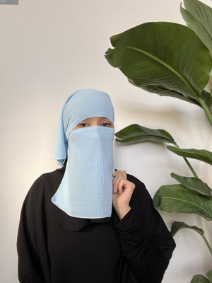 Woman in a light blue niqab covering her face, standing indoors with a large green leaf in the background.