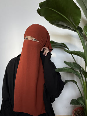 Woman wearing a rust orange niqab standing in front of a large green plant, looking directly at the camera.