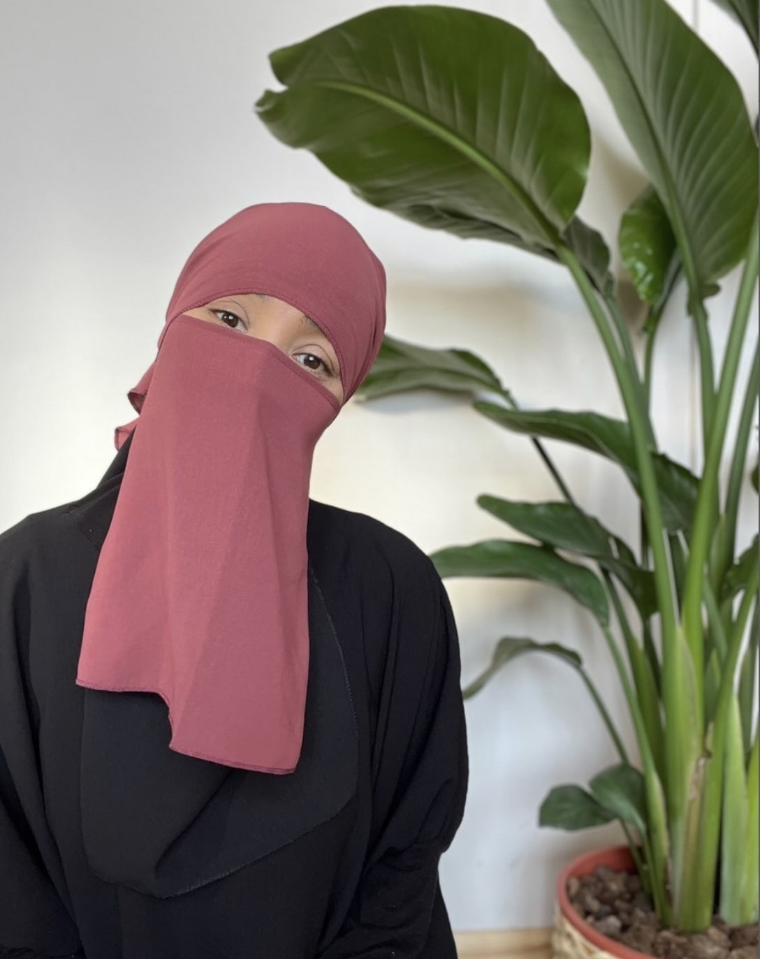 Woman in a pink niqab looking directly at the camera, indoors with a tropical plant in the background.